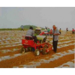 2-BIGDEL Motorlu kendi yürüyen Sebze fide dikim makinesi 1 sıralıü